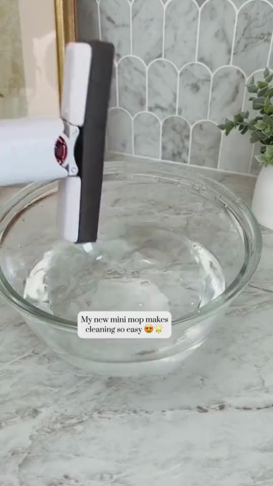Portable Self-NSqueeze Mini Mop